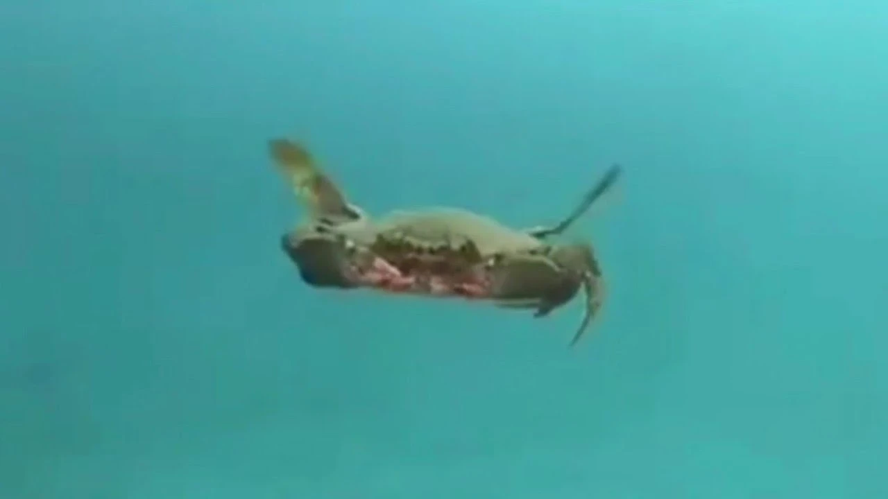 Деньги! Деньги! Деньги!