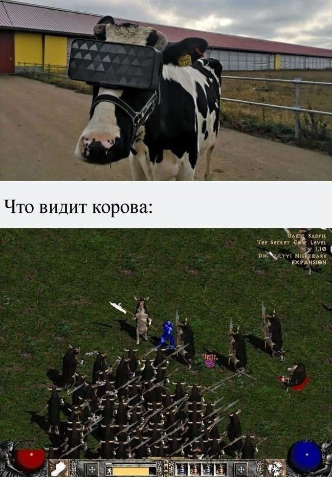 Что видит корова