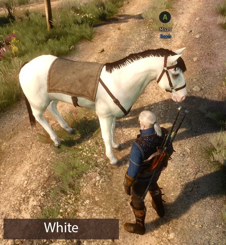 Ведьмак 3 "Разноцветная Плотва"