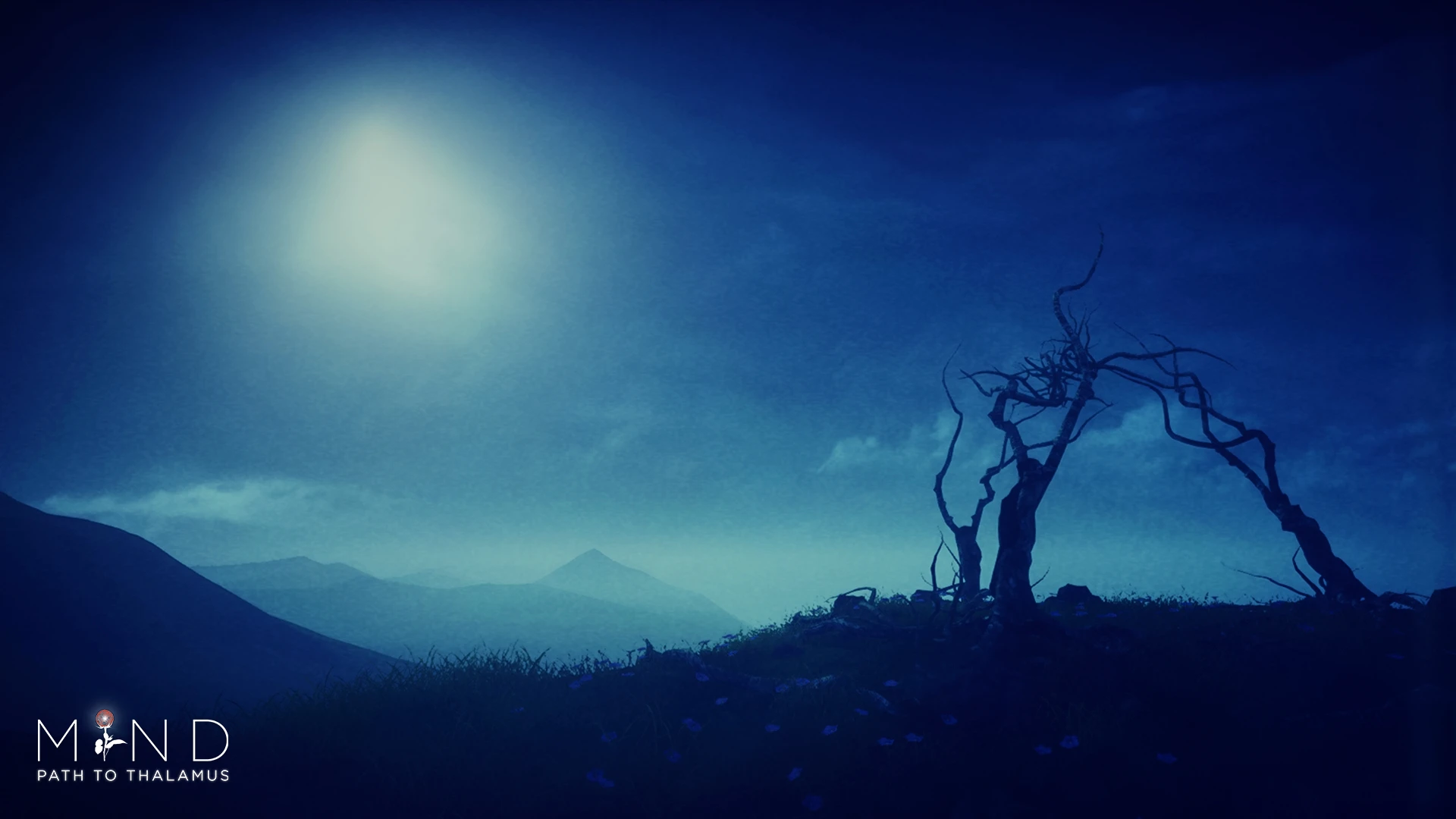 Mind: Path to Thalamus "Wallpapers(Обои)"