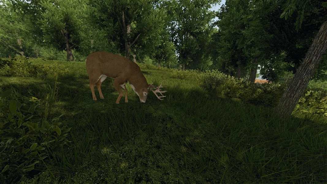 Уже совсем скоро проект Reign of Kings перейдет в стадию Early Access