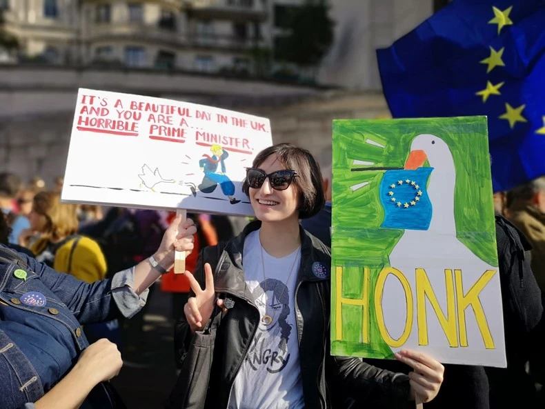 Гусь из Untitled Goose Game стал символом протеста против Brexit