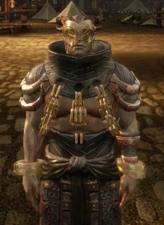 Dragon Age: Origins "Роба и маска мага кунари Saarebus"