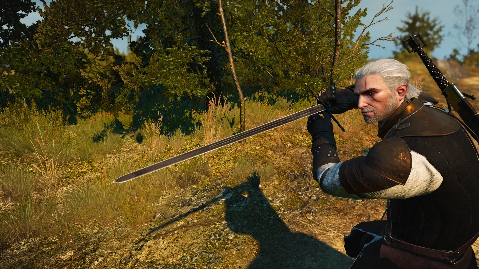 Witcher 3 "Темные мечи из Witcher 2"