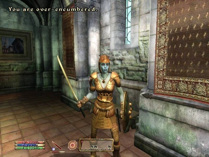 TES 4: Oblivion "Броня ямы"