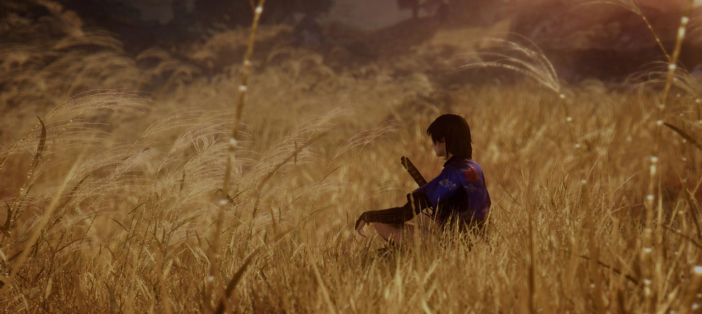 Официальная поддержка мыши в PC-версии Nioh: Complete Edition появится 30 Ноября