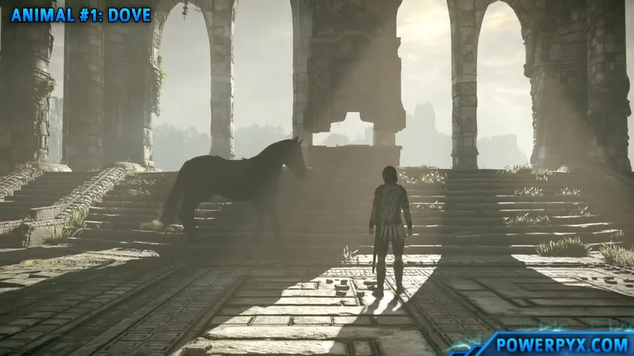 Shadow of the Colossus (PS4) - Получение трофея Animals of the Land.