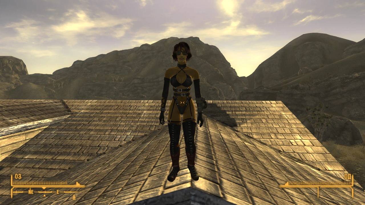 Fallout: New Vegas "DOA Christie (+18)"