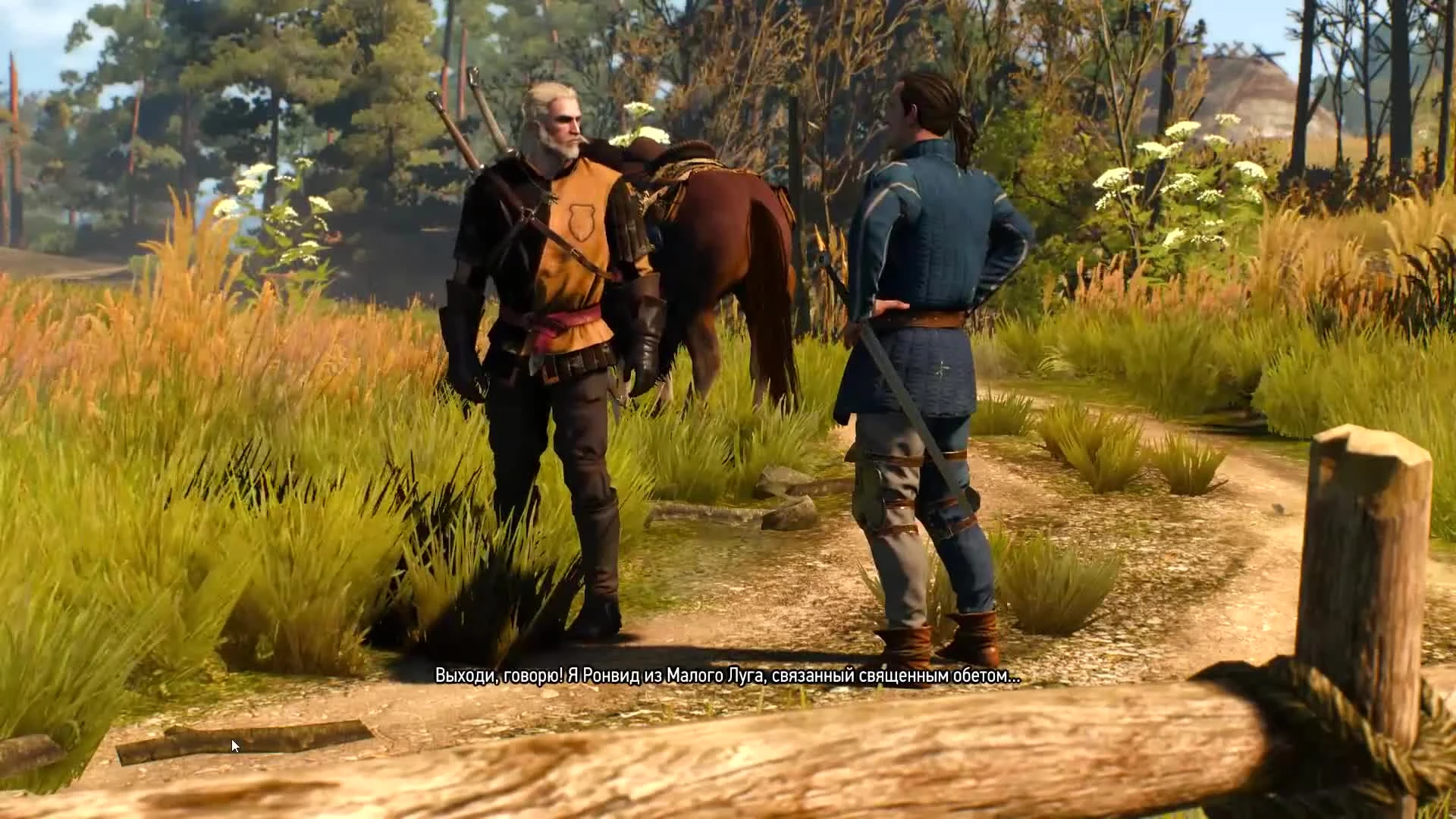 Что такое Ведьмак 3: Дикая Охота. Обзор от Стикса