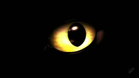 The Scourge Project "Debut Trailer"