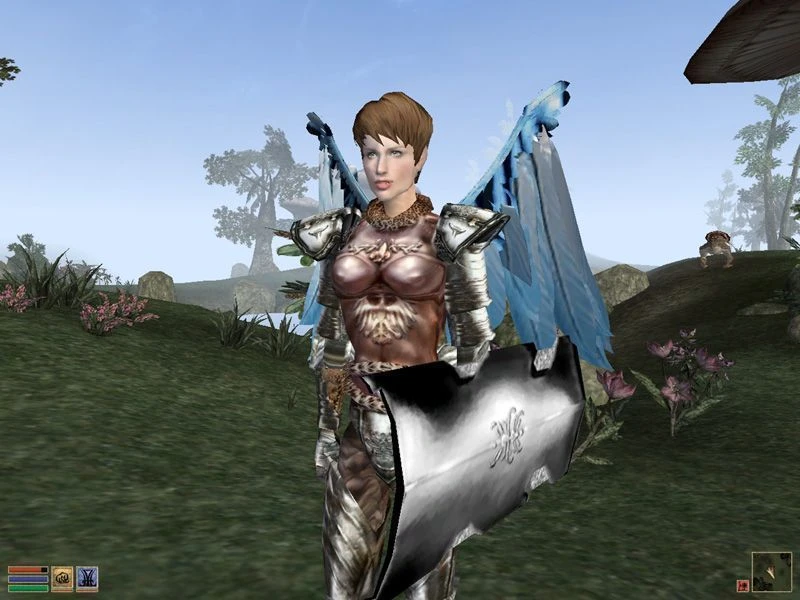 Morrowind "Раса - Kunpaetku"