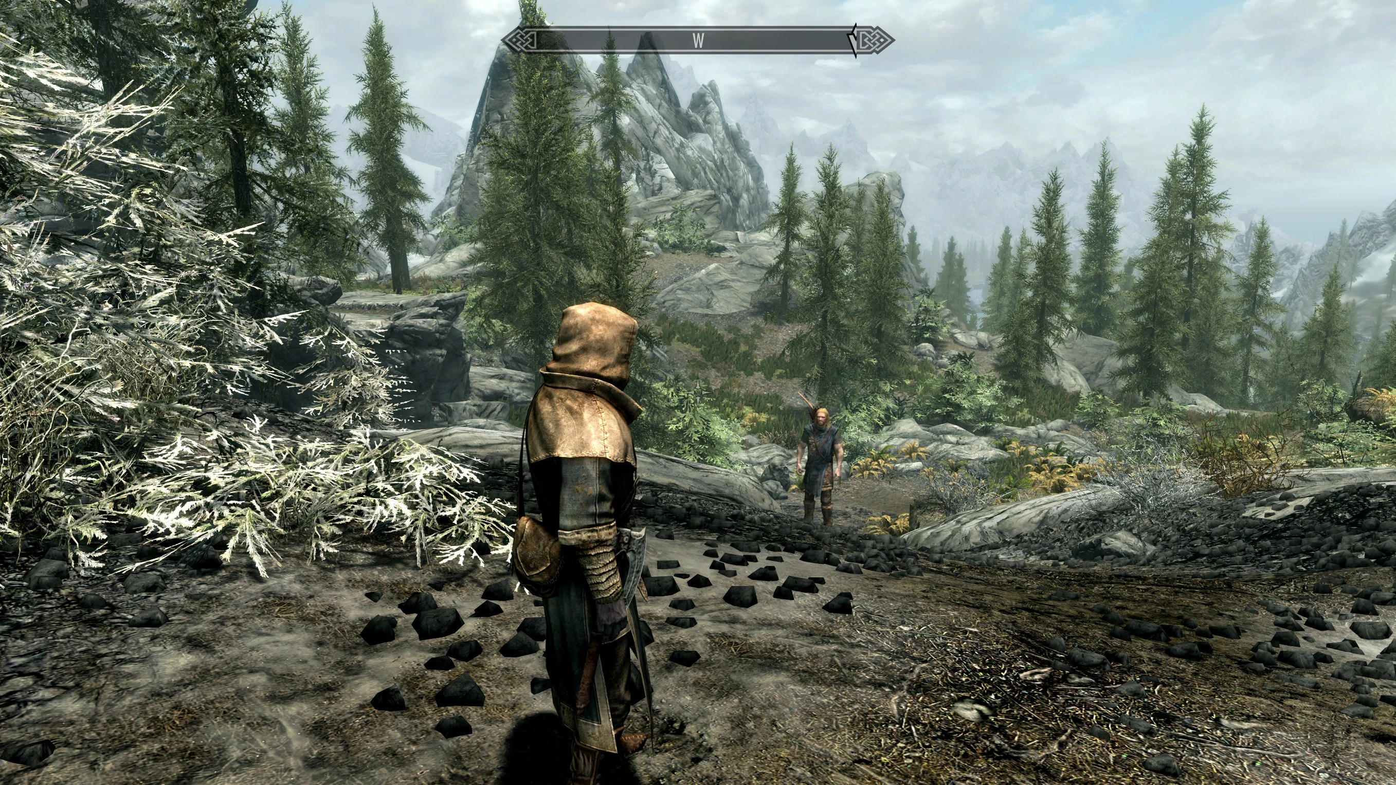 The Elder Scrolls 5: Skyrim Anniversary Edition "Сохранение - Темный эльф 1LVL; Самое начало игры после Хелгена"