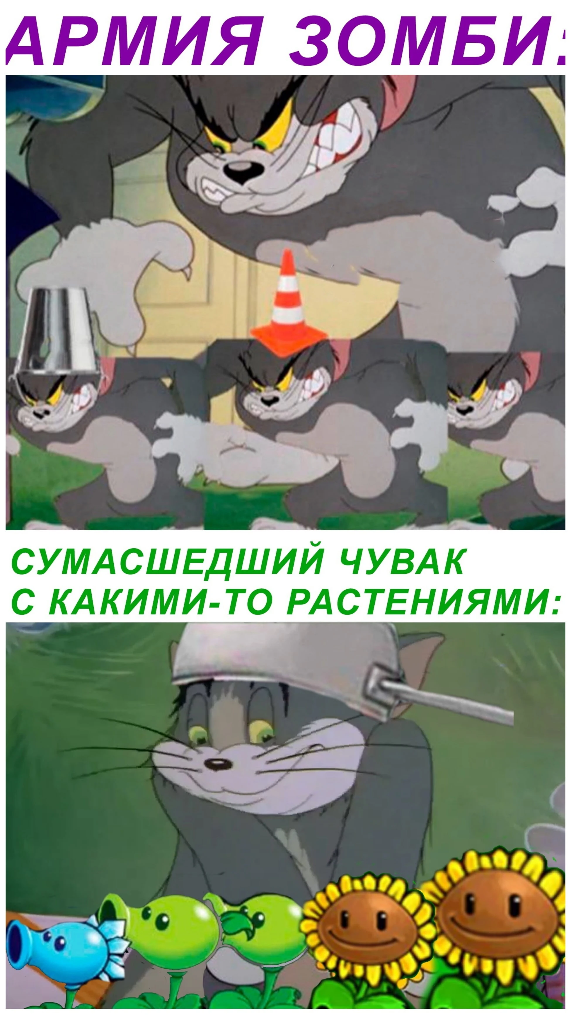 Как это выглядит