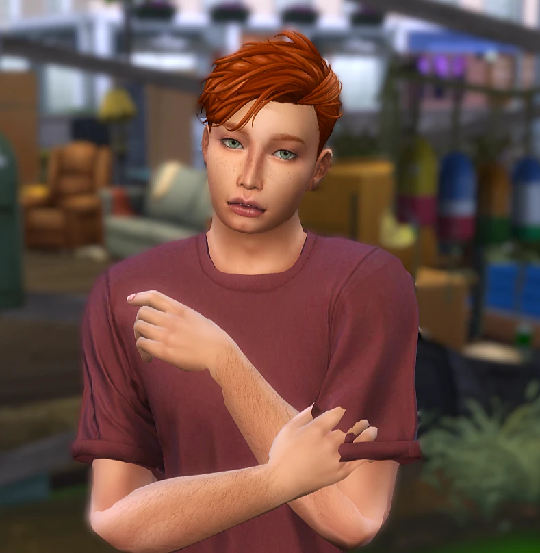 The Sims 4 "Персонаж - Дрейк"