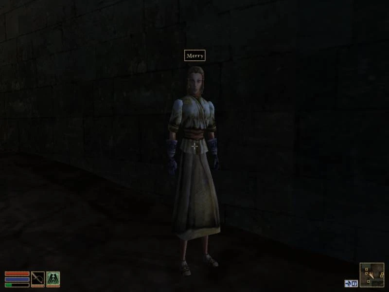 Morrowind "Книга Мерри"