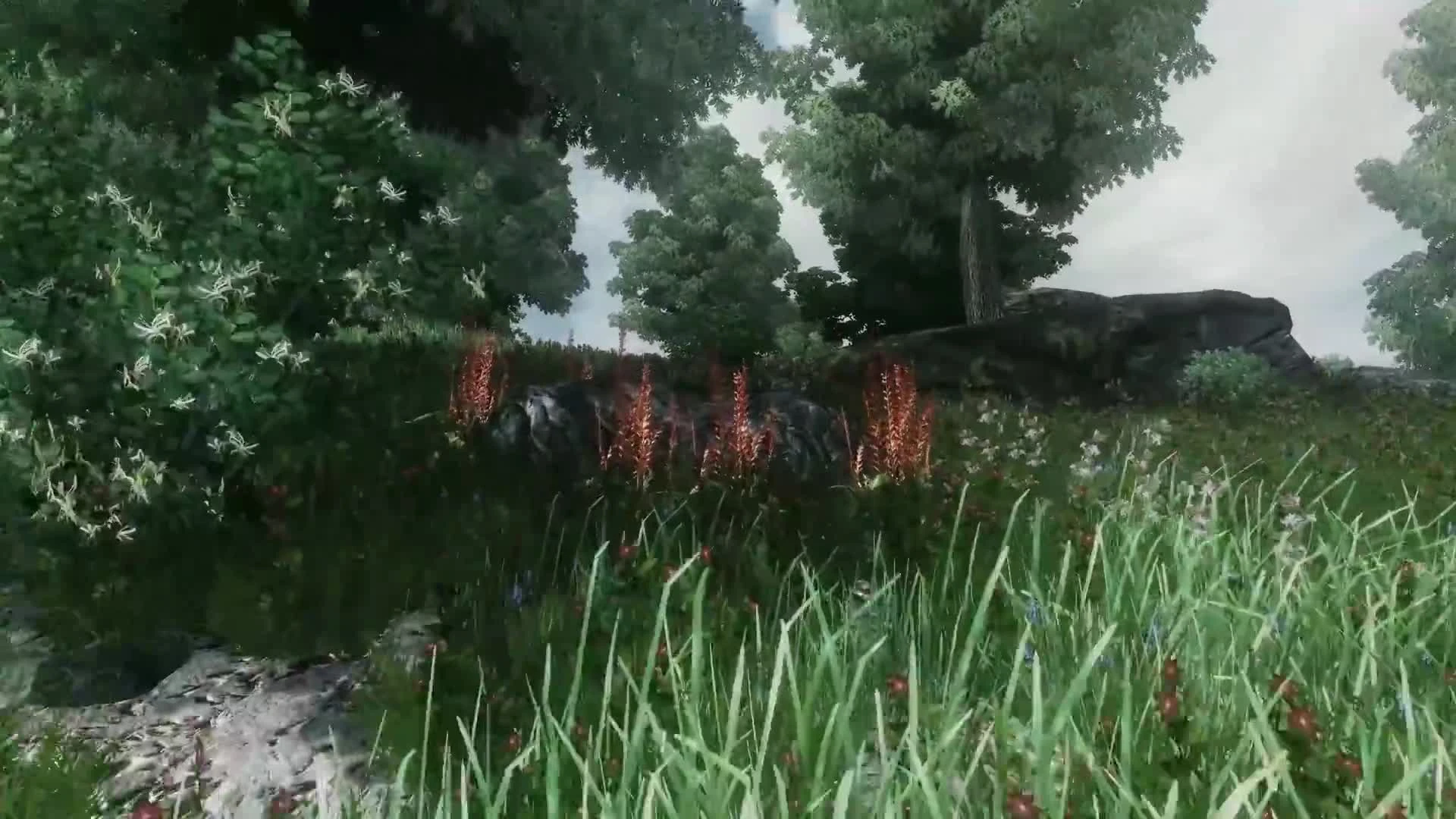 Как выглядит TES: Oblivion с современной графикой