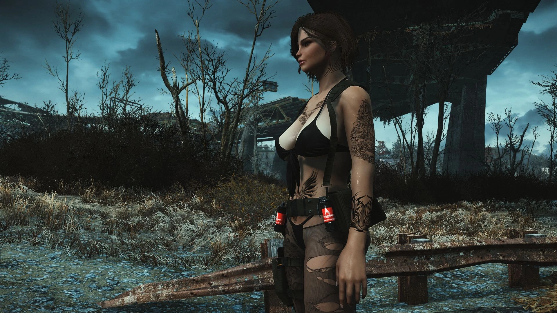 Fallout 4 "Гардероб 9 CBBE"