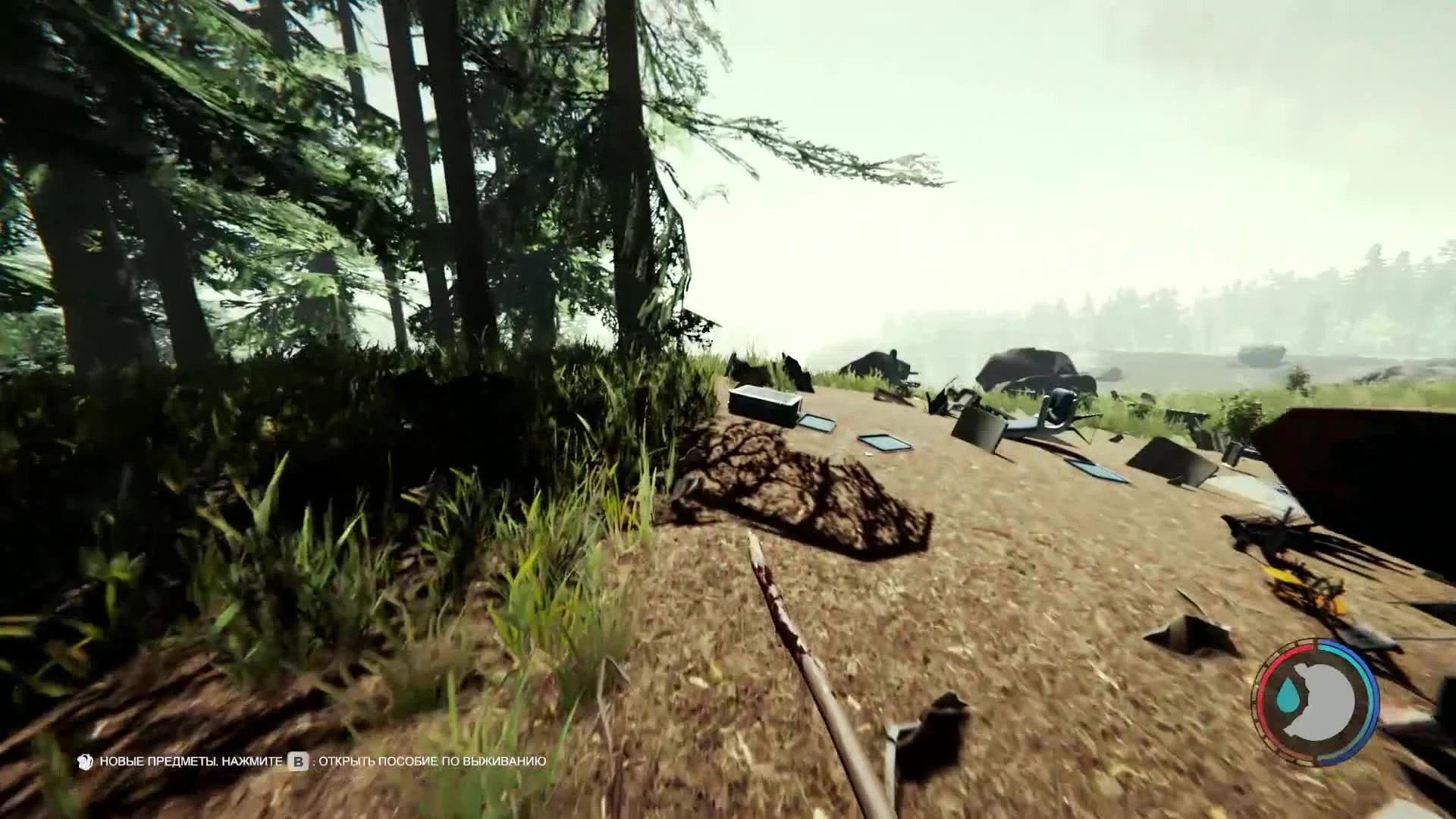 Первое приземление в The Forest