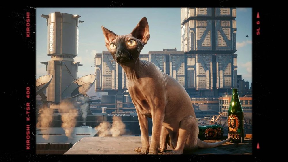 "Мяю": как сразу завести кота в последнем патче Cyberpunk 2077 без прохождения сюжета