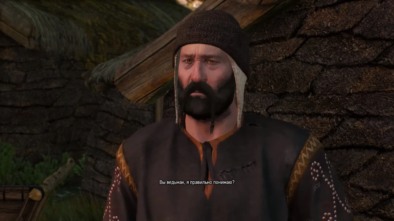 Прохождение The Witcher 3: Wild Hunt - Ведьмачьи заказы - Скеллиге