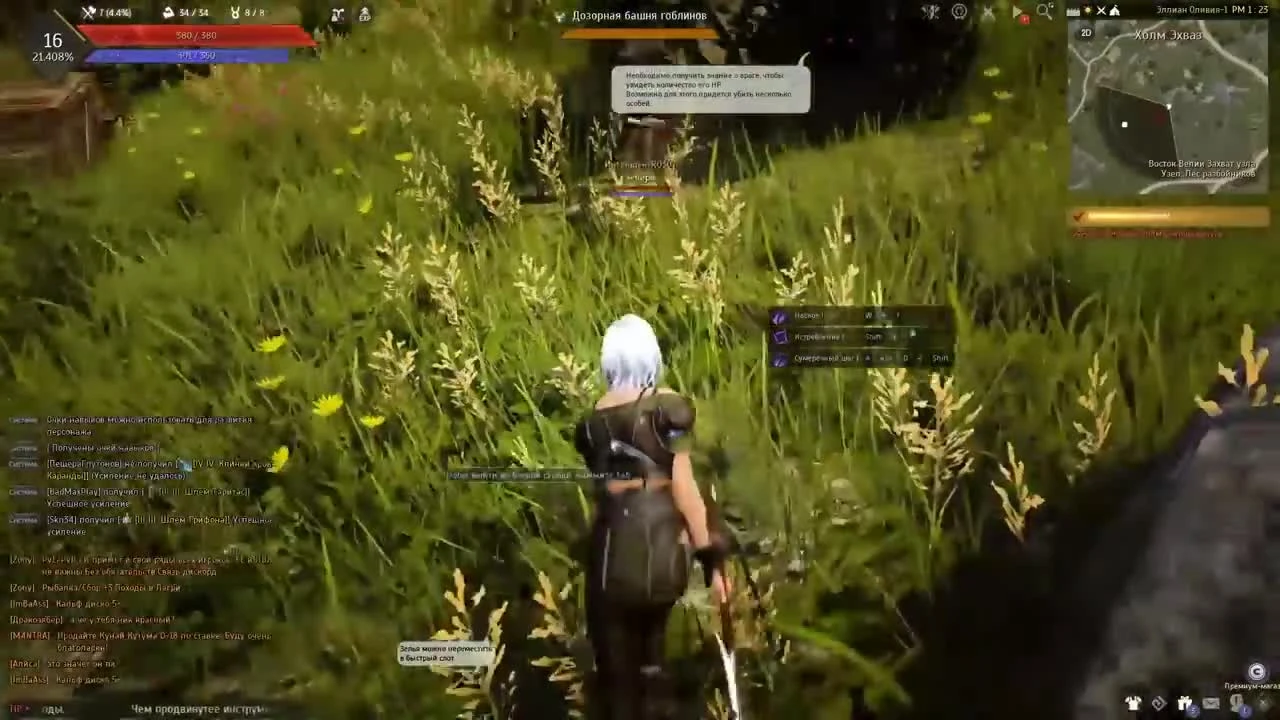 Black Desert закрывают?