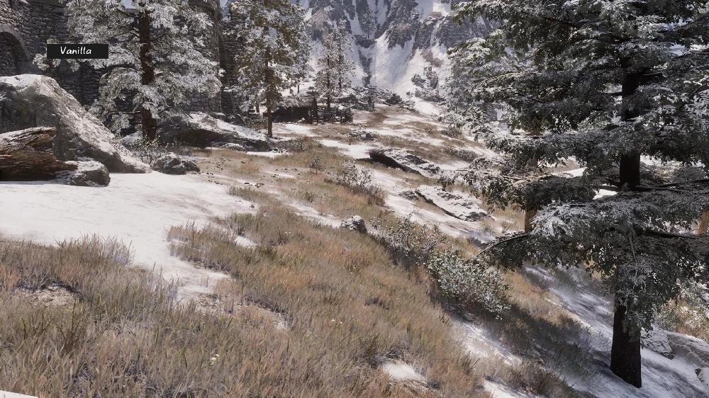 The Elder Scrolls 4: Oblivion Remastered "Сухая трава на заснеженной горе" [v2.0]