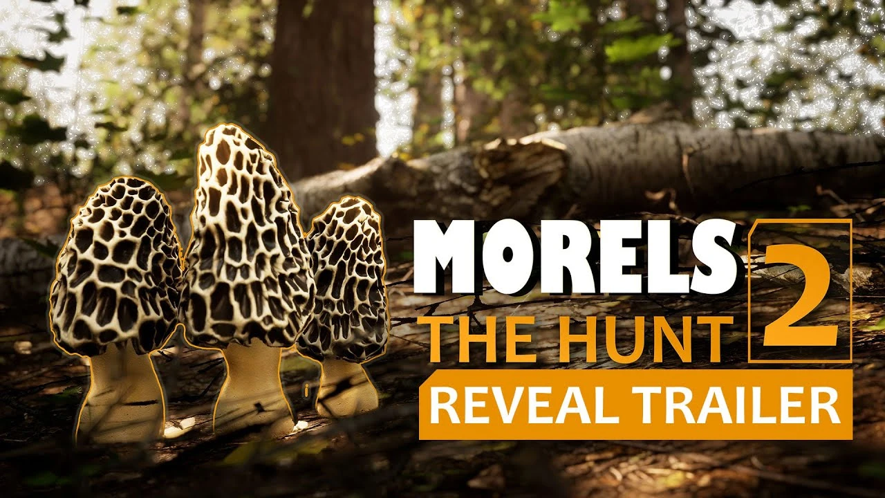 Анонсировано продолжение симулятора грибника Morels: The Hunt 2