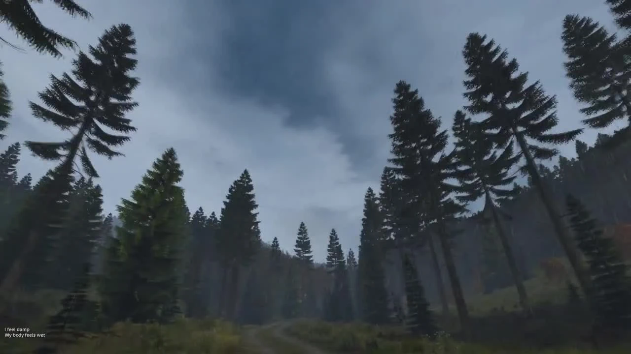 Поговорим о DAYZ