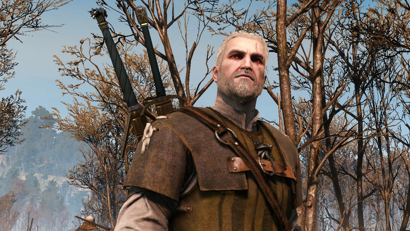 The Witcher 3: Wild Hunt "Cборка модификаций на любителя" [1.31] {REACHONYX}