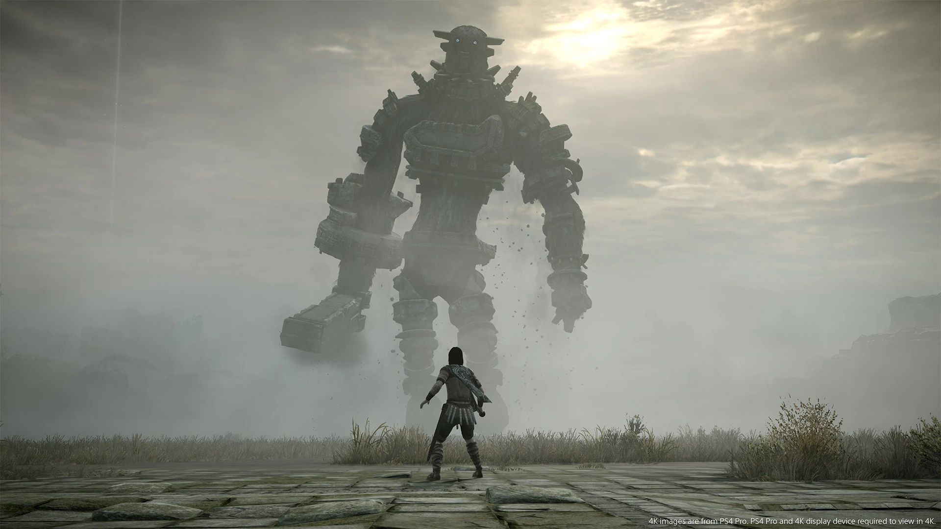 Разработчики ремейка Shadow of the Colossus работают над переносом классики на текущее поколение консолей