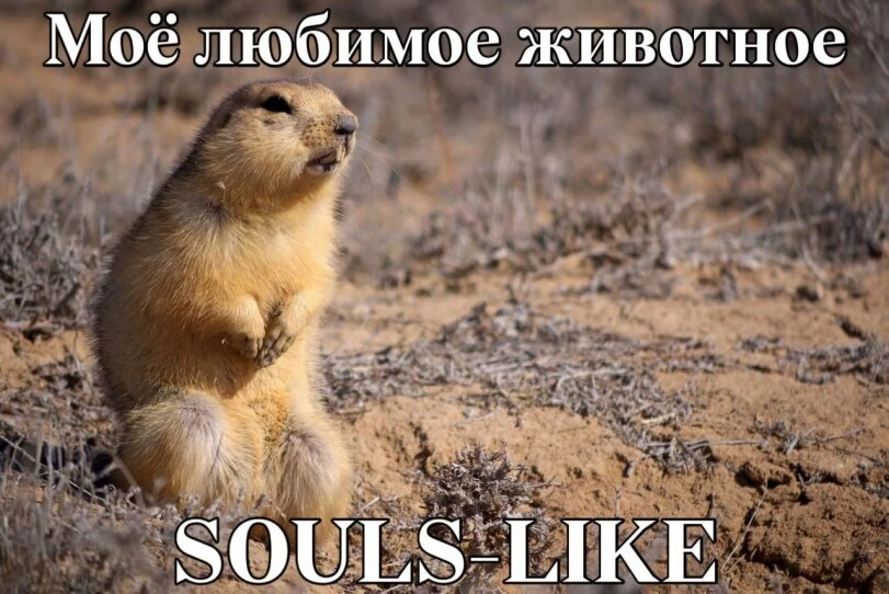 Любимое животное