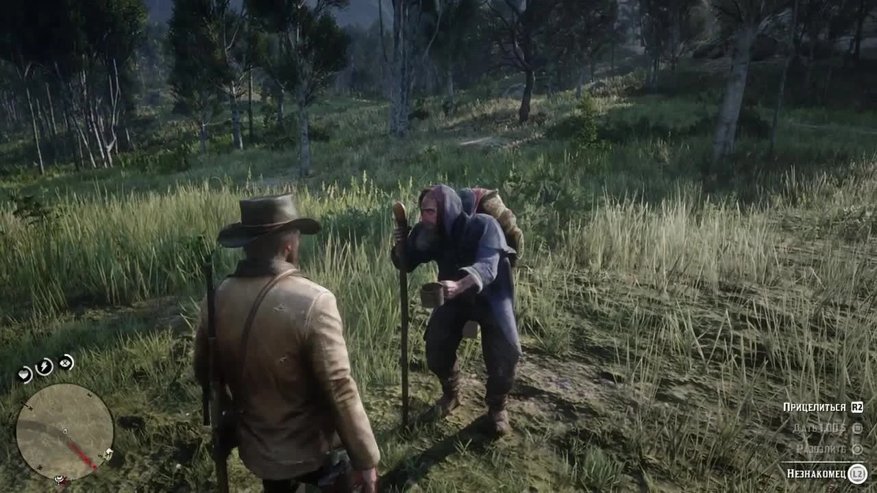 50 удивительных деталей в Red Dead Redemption 2