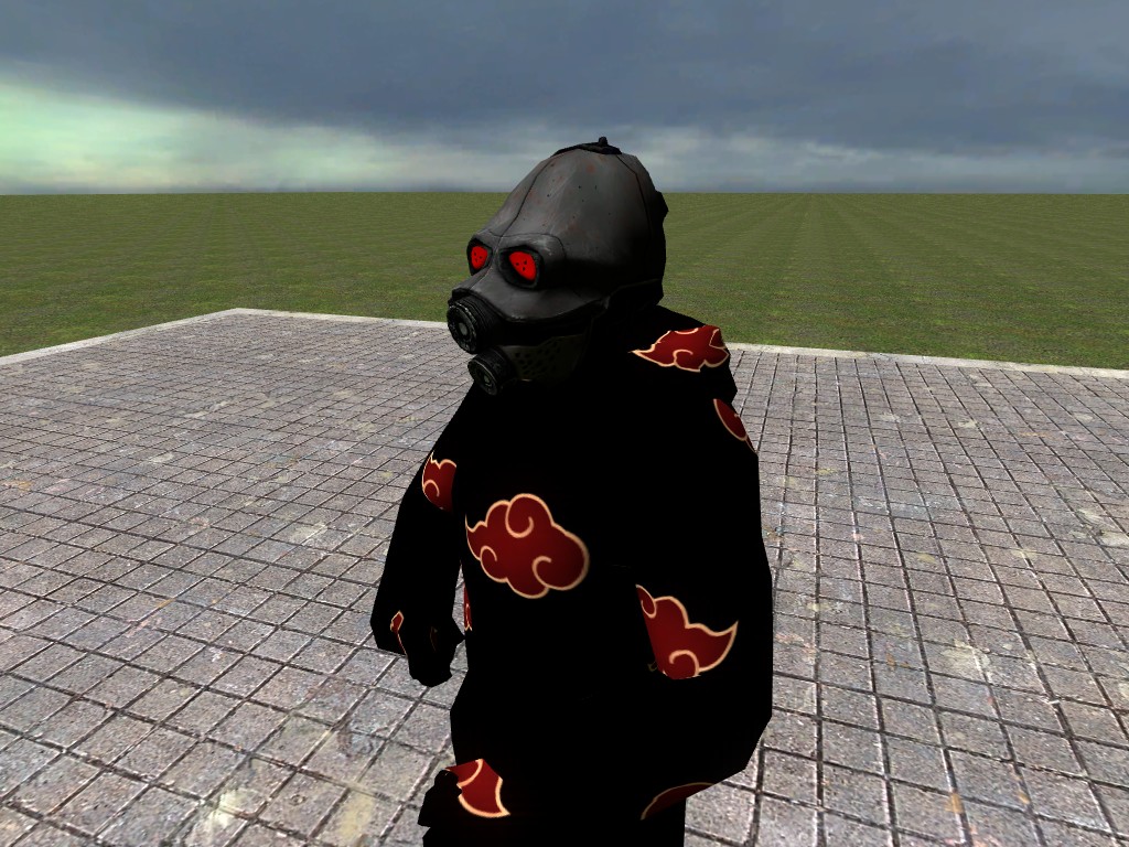 Half-Life 2 "Combine Akatski"