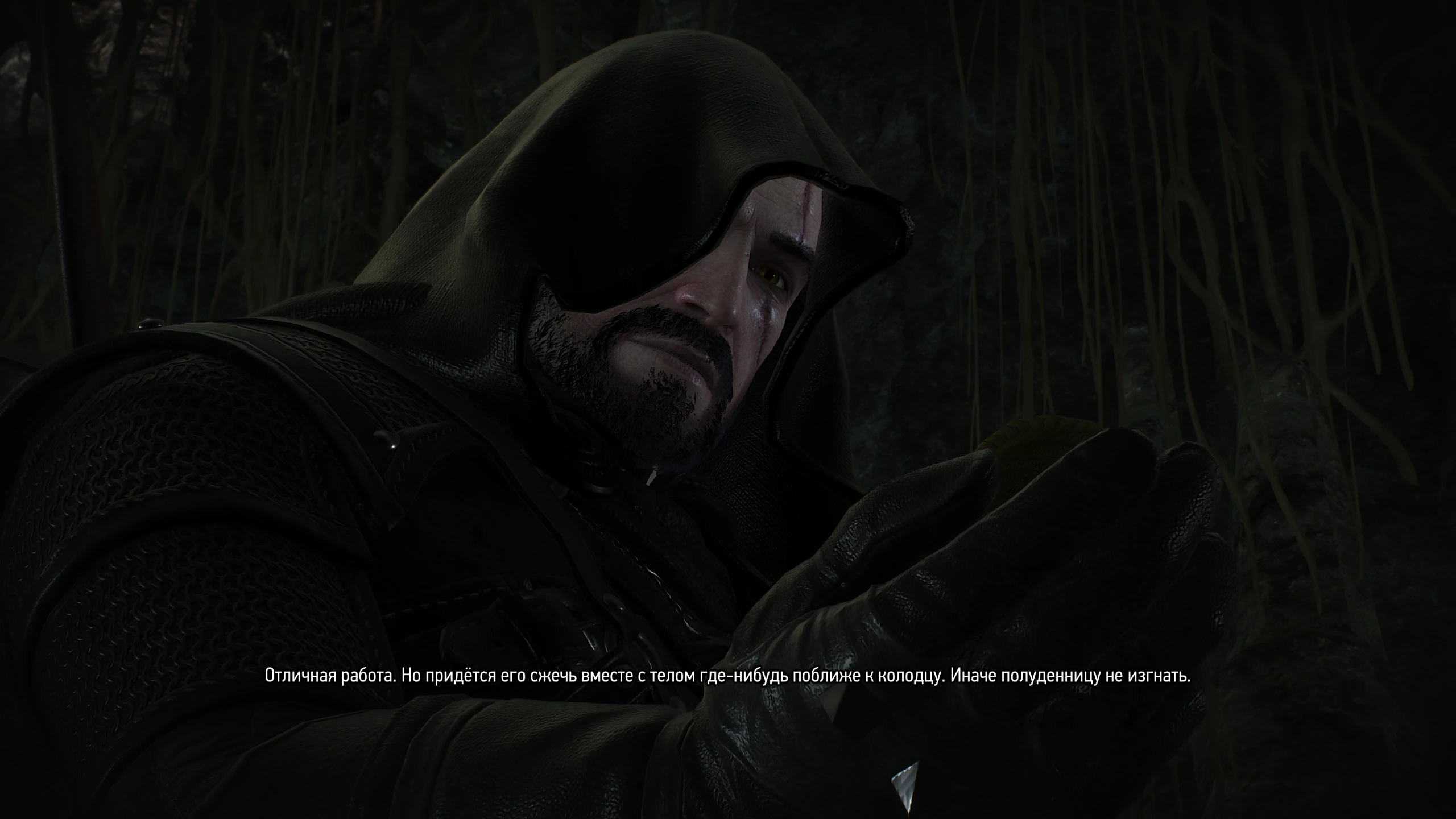 The Witcher 3: "Черный плащ для Геральта и капюшон" [v 4.04]