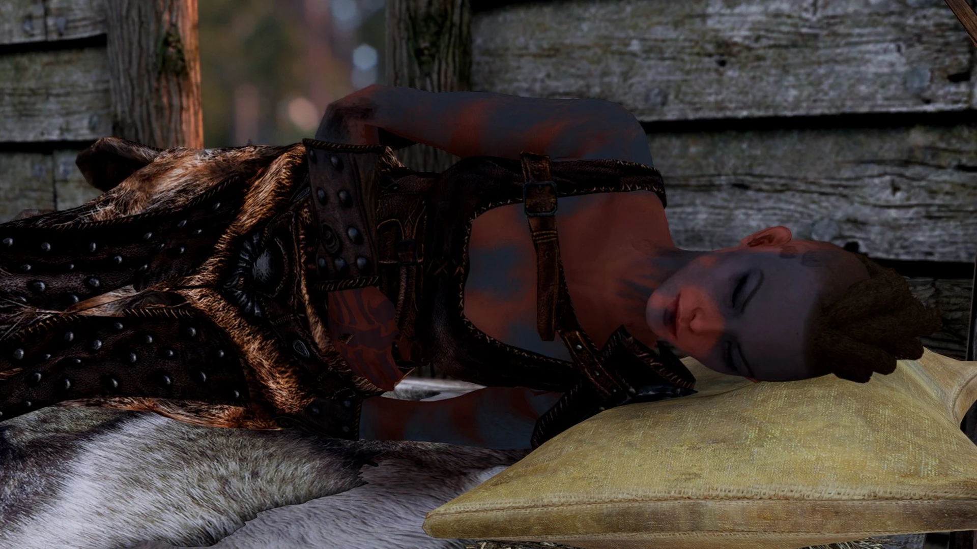 Skyrim SE "Расширенная система сна - новые анимации и реакции"