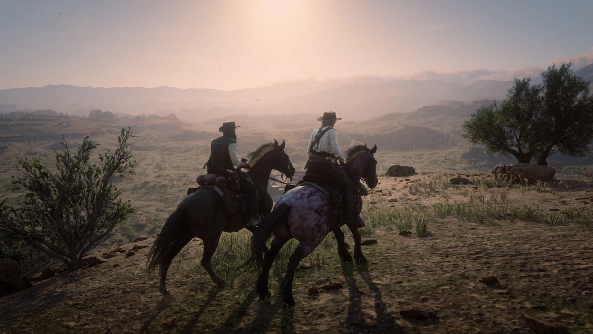 Фанаты Red Dead Redemption 2 создали петицию и требуют выпустить сюжетное дополнения для игры