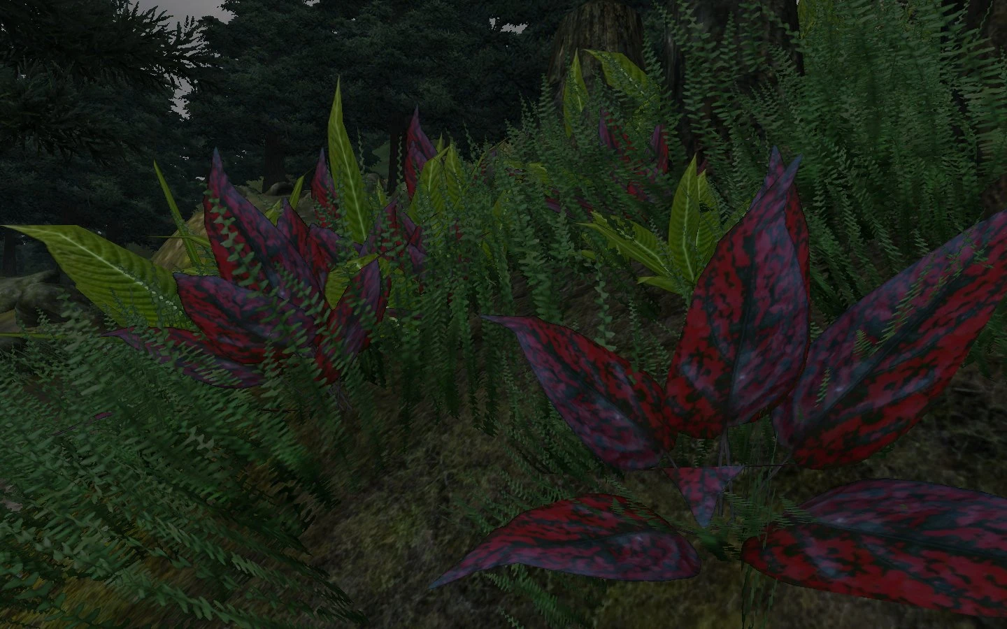 TES 4 "Better Ferns - Hi-Res\Новые текстуры для папоротников."