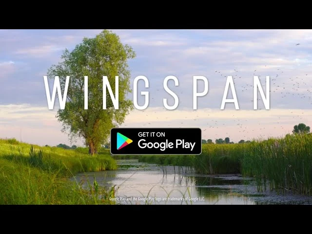 Расслабляющая карточная стратегическая игра Wingspan стала доступна для устройств Android