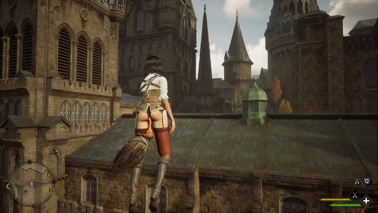 Hogwarts Legacy "Летающие мётлы с дилдо"