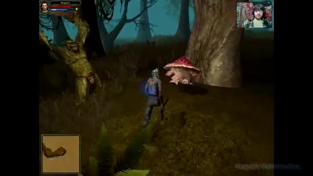 Dungeon Lords - Качаемся до повелителя смерти 11. Квесты в Землях Эльфов (прохождение на русском)