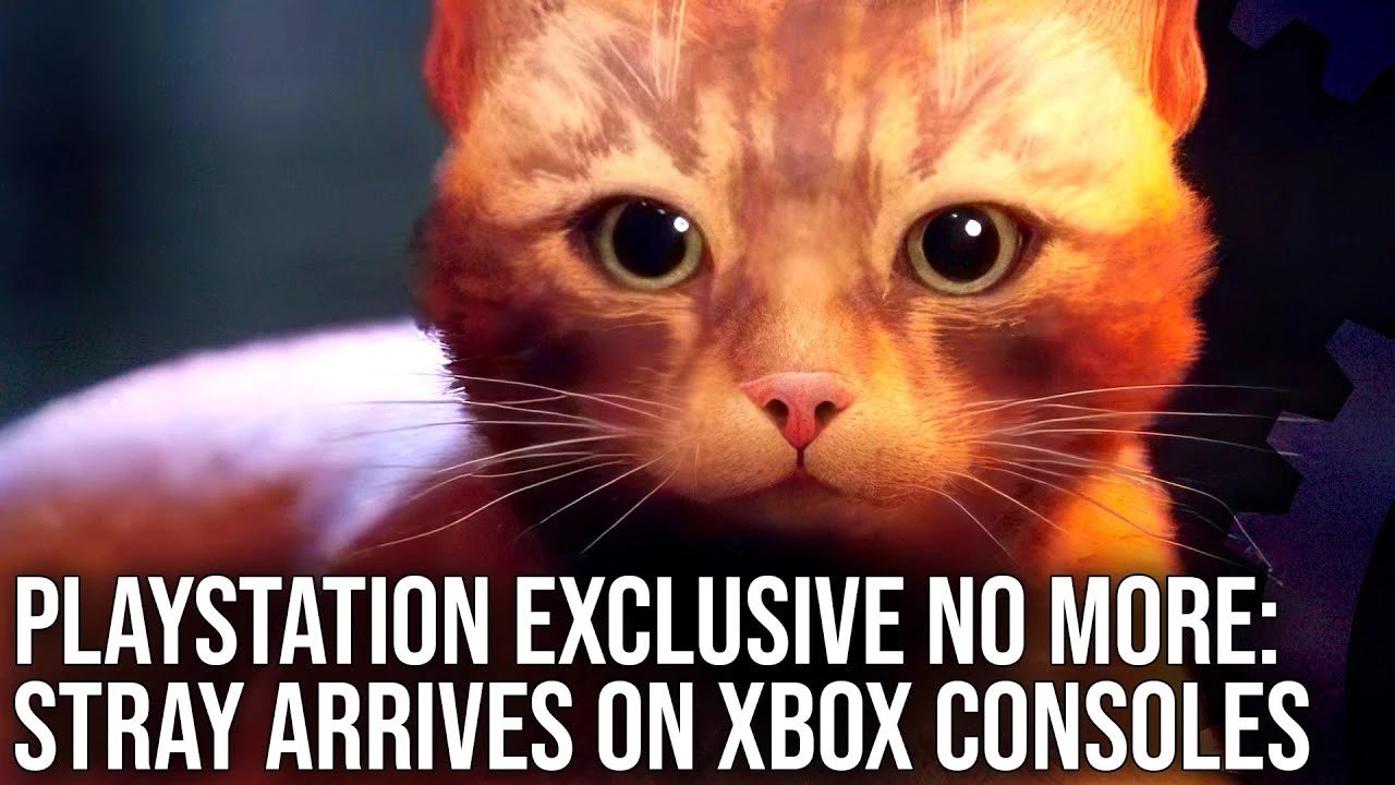 Stray хорошо показала себя при тестировании на консолях Xbox