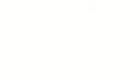 Islands of Wakfu "Release Date Trailer"