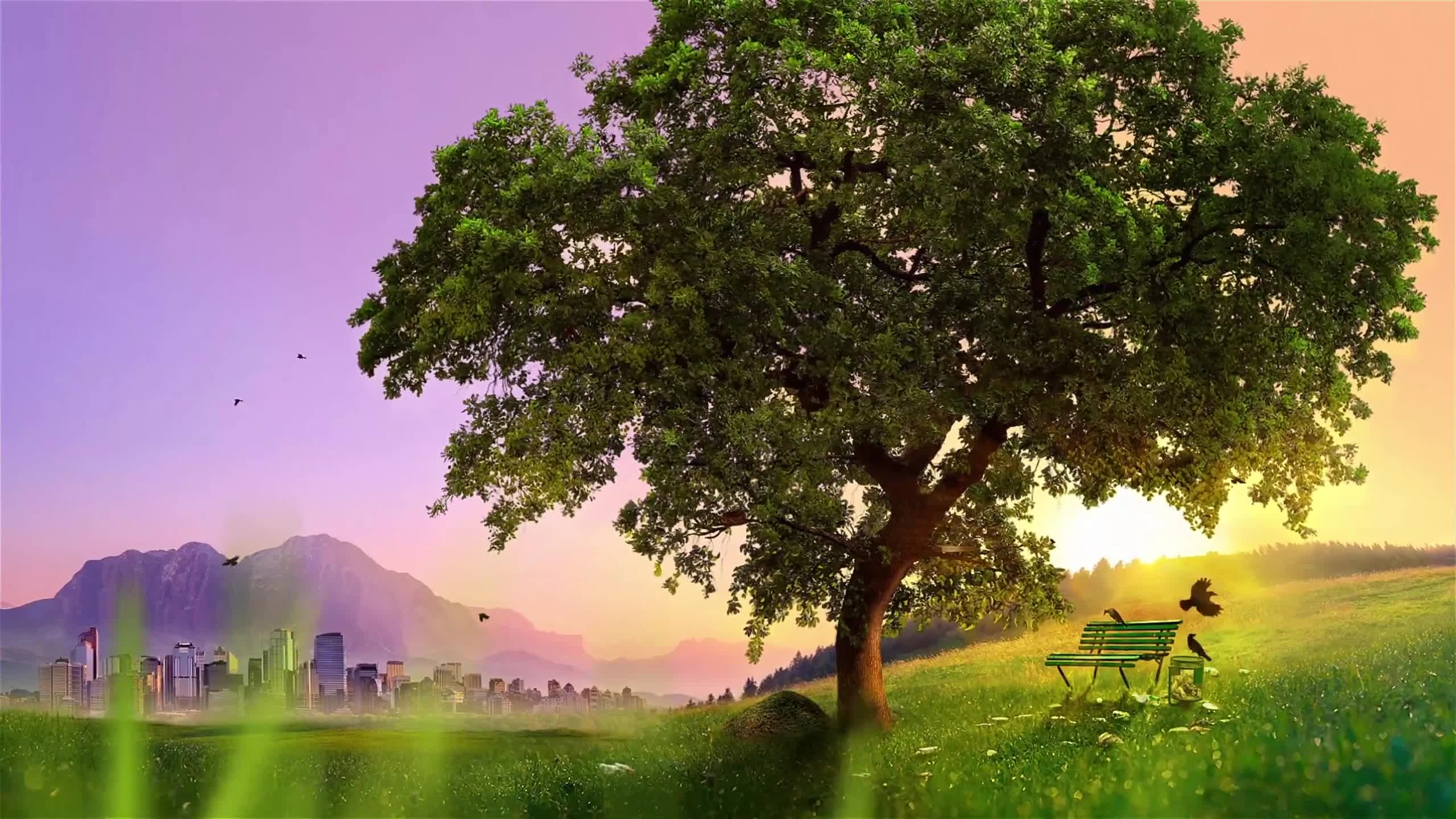 AntVentor - Трейлер