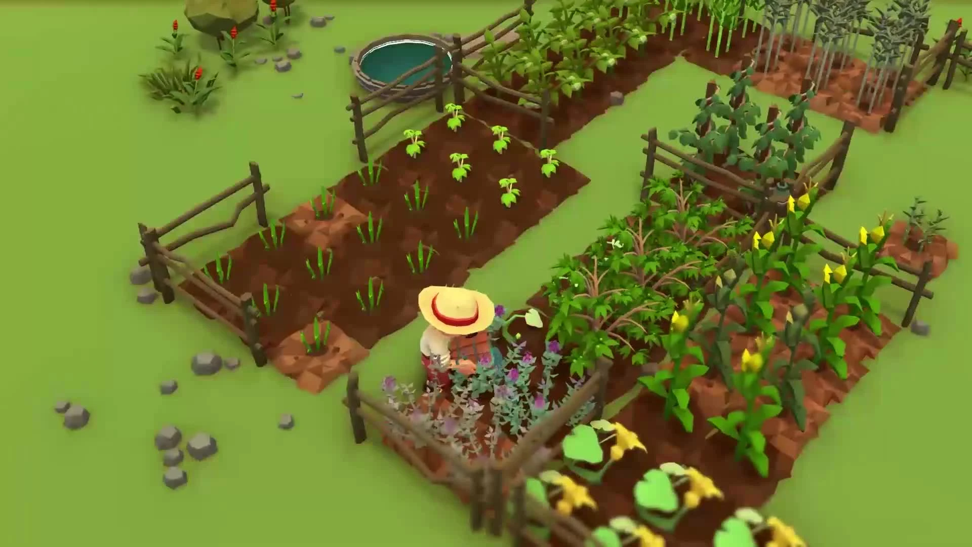 Ферма, паруса и сокровища - новая игра Stranded Sails: Explorers of the Cursed Islands выйдет в октябре 2019 года