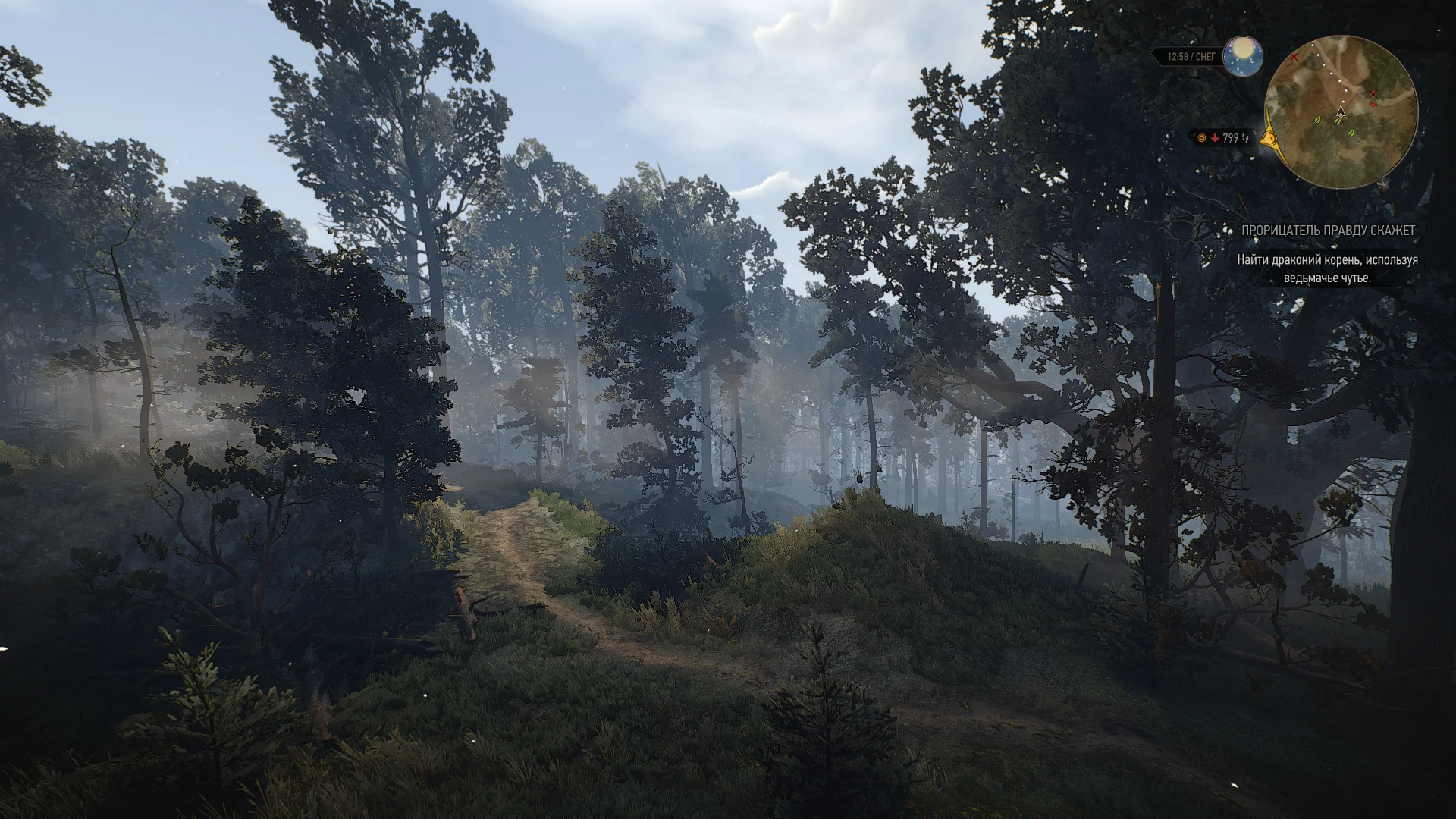 Witcher 3 "Улучшенный вид от первого лица"