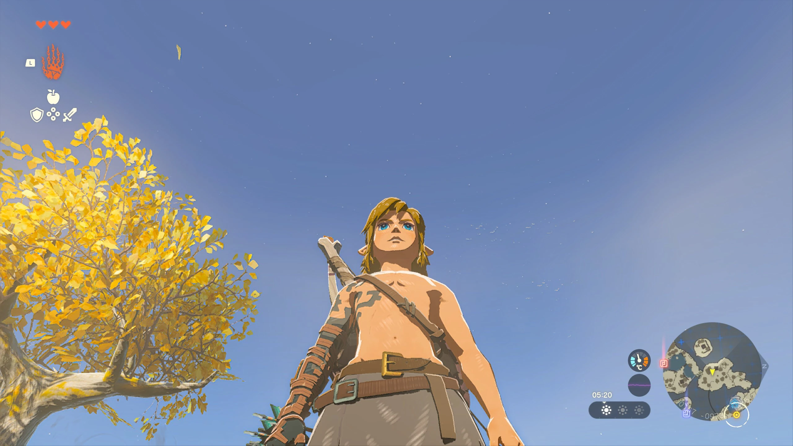 The Legend of Zelda: Tears of the Kingdom "Визуальные исправления"