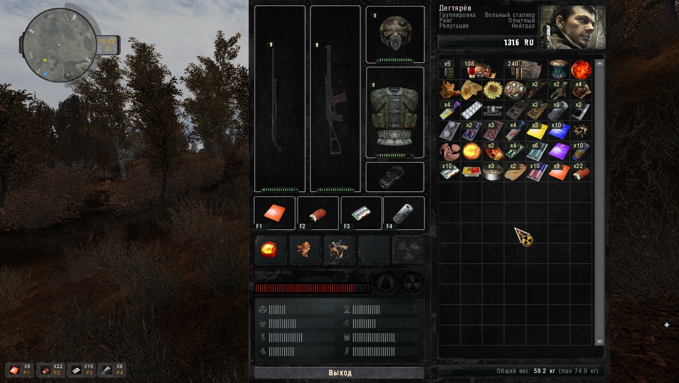 Какой мод на скриншоте?