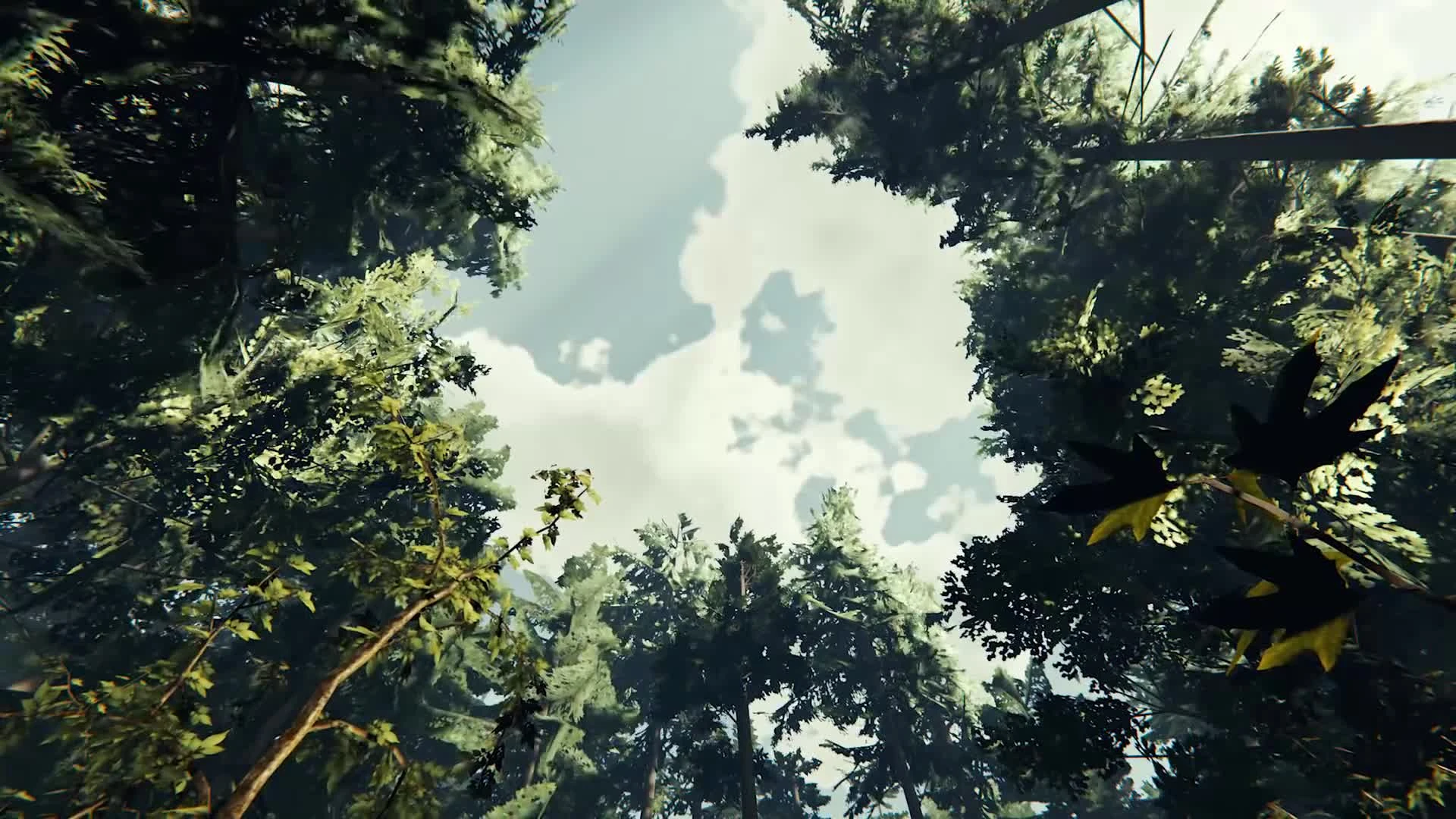 The Forest - Декабрьское обновление