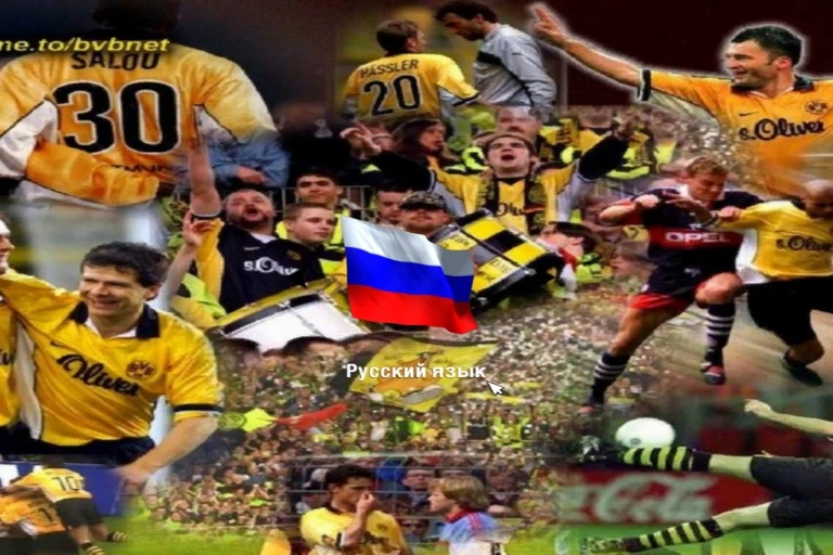 FIFA 13 "Фон Борусии"