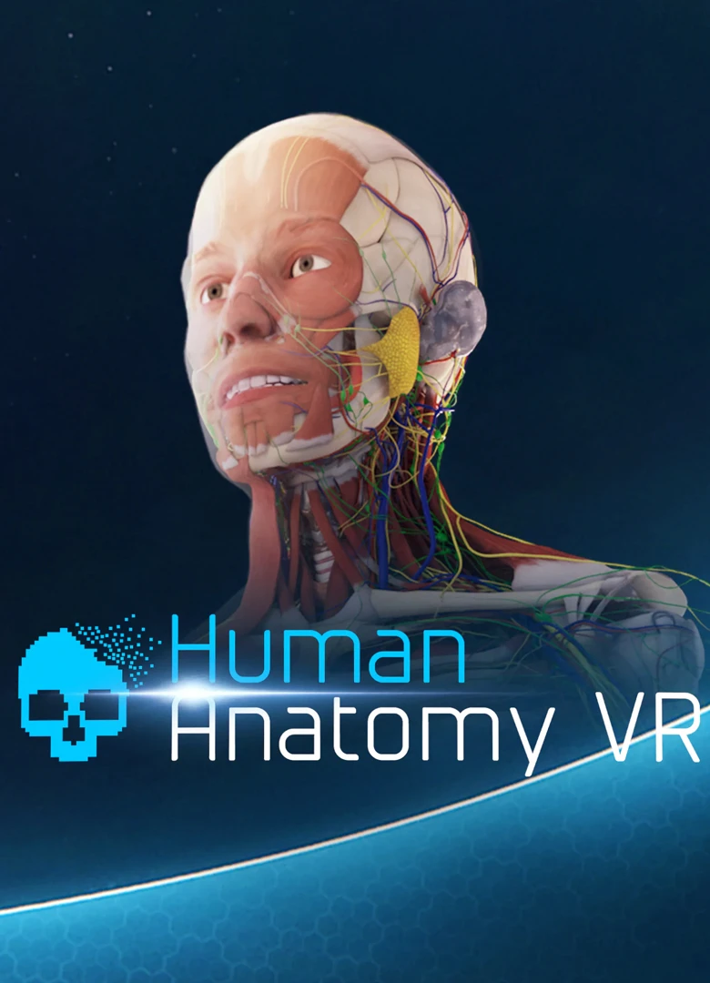 Human Anatomy VR